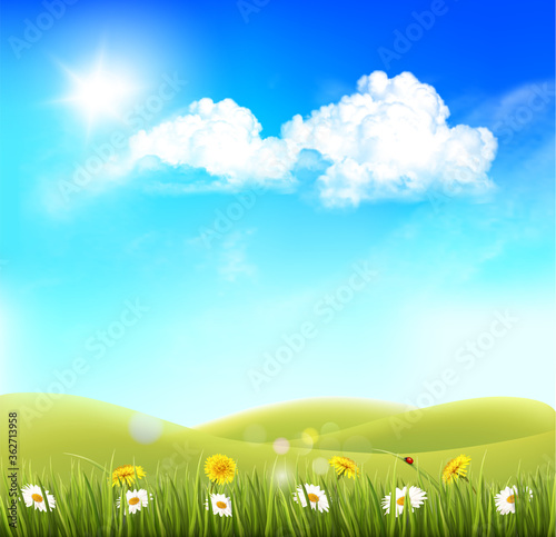 Summer nature background with landscape and blue sky with clouds. Vector