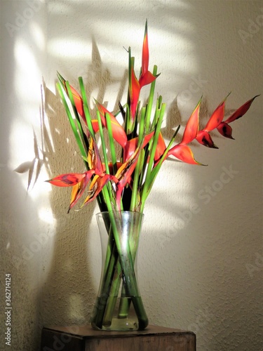 vase with helicornia flowers photo