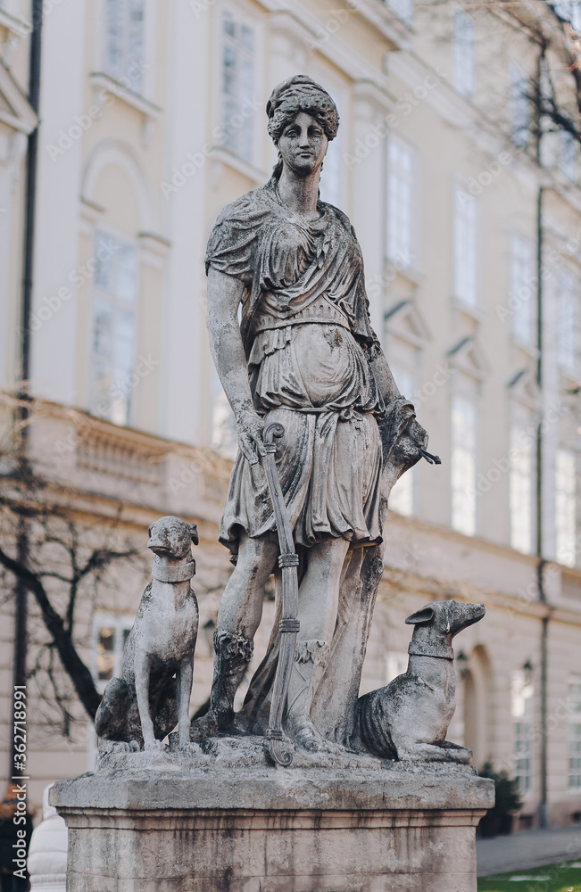 Statue of the hunting goddess Diana with two dogs. The historical center of city near the town hall on the square in Lviv, Ukraine.