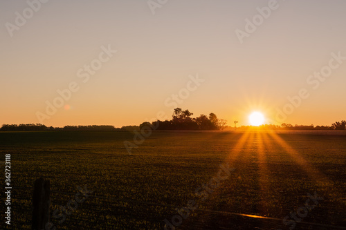 sunset in the field