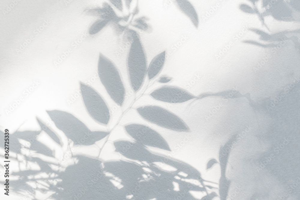 Fototapeta premium Leaf shadow on wall. Nature tropical leaves tree branch and plant shade with sunlight