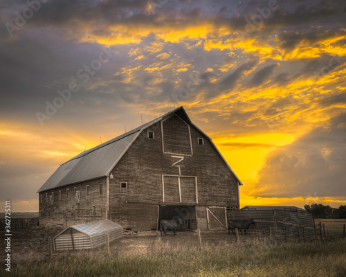 A cattle barn on the Great Plains with a setting sun