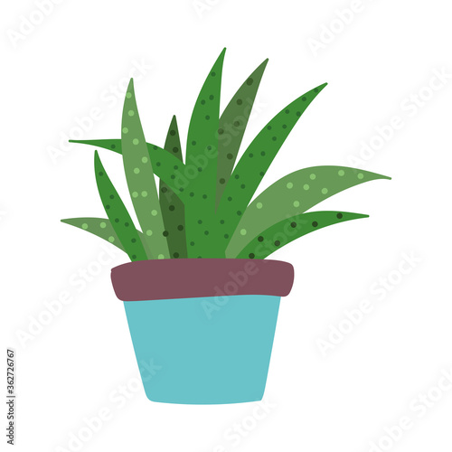 potted plant decoration leaves isolated design icon white background