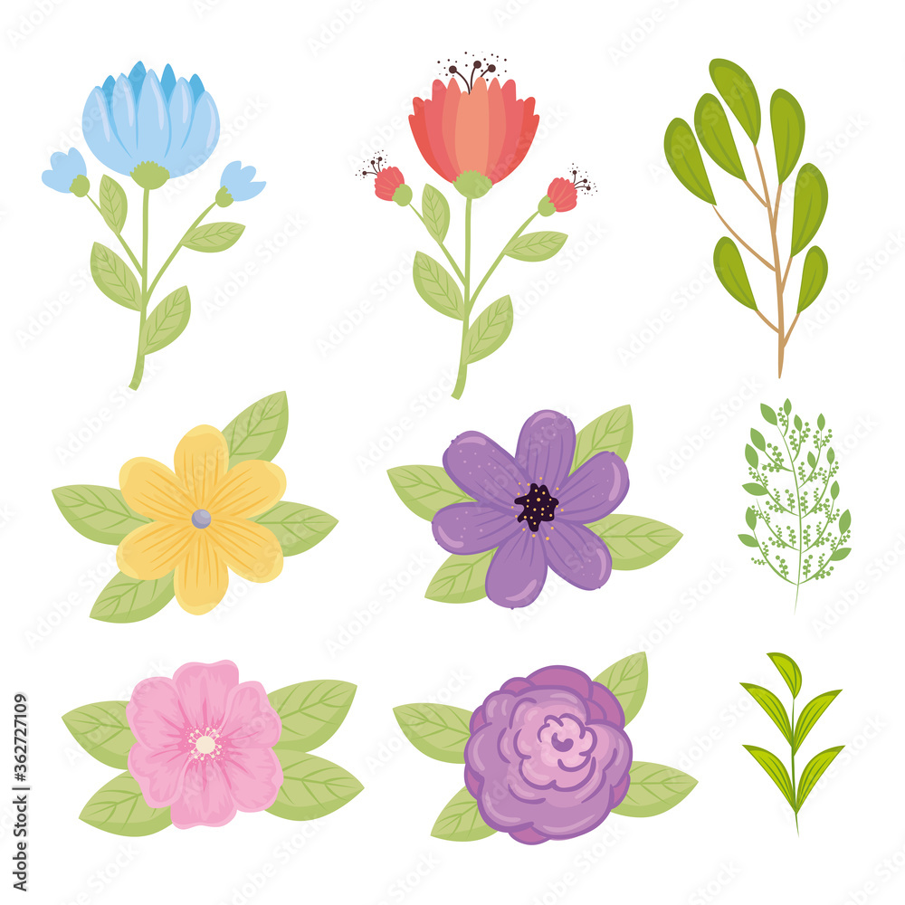 set of flowers color blue, red, yellow, pink, purple and branches with leaves vector illustration design