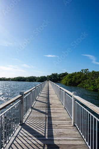 Looking Down Walkway Toward Mangrove Forest © kellyvandellen