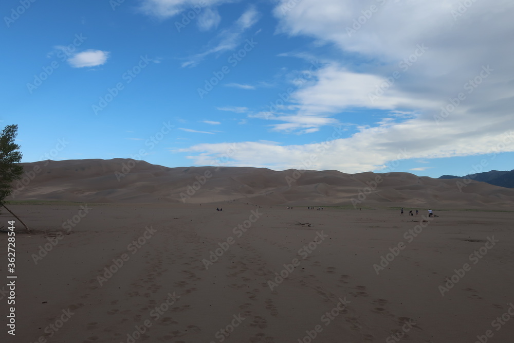 Sand dunes in the morning in Colorado