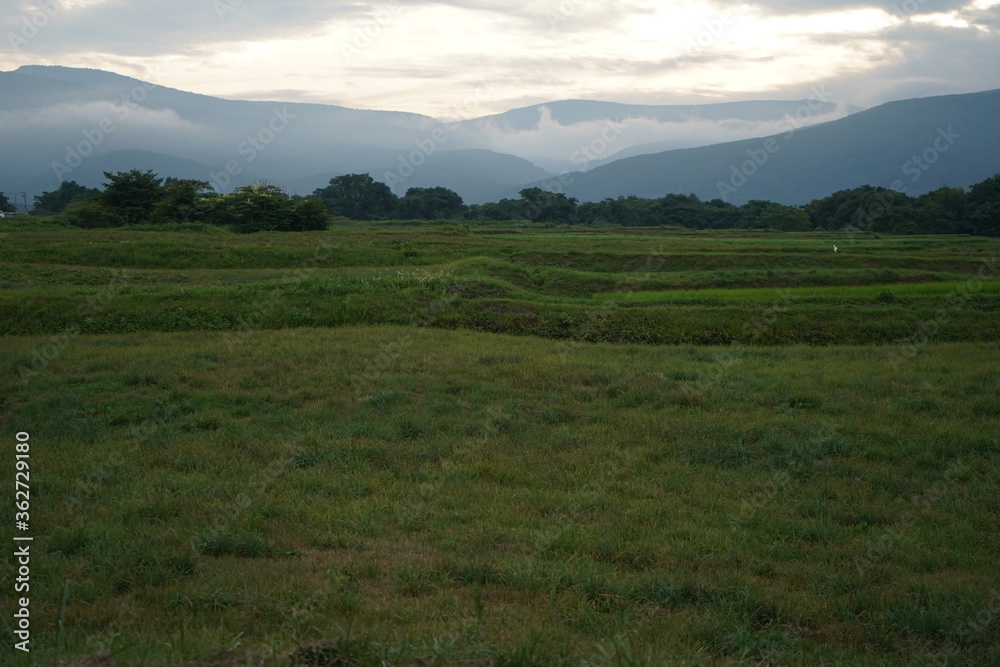 Fototapeta premium 朝日の見える丘 草原 風景 山々 早朝 夏休み