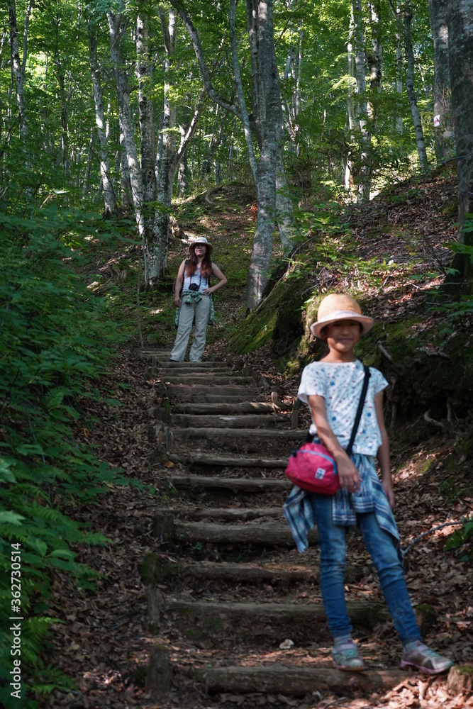 Fototapeta premium 山歩き ハイキング 少女 親子 子連れ 登山 白神山地 世界遺産 ブナ 夏休み