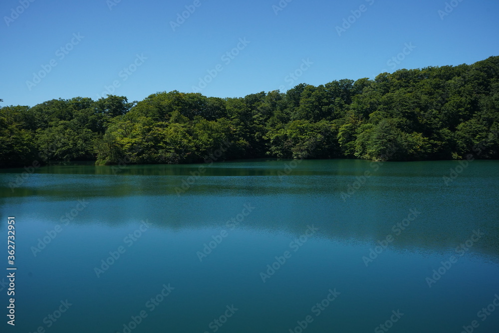 十二湖　青森　世界遺産　湖　夏休み　王池