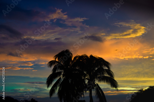 Dawn on the beach