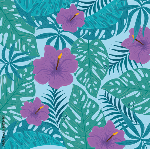 tropical background, flowers purple color and tropical plants, decoration with flowers and tropical leaves vector illustration design