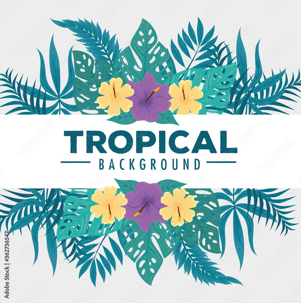 tropical background, flowers yellow and purple colors, branches and tropical leaves, decoration with flowers and tropical leaves vector illustration design