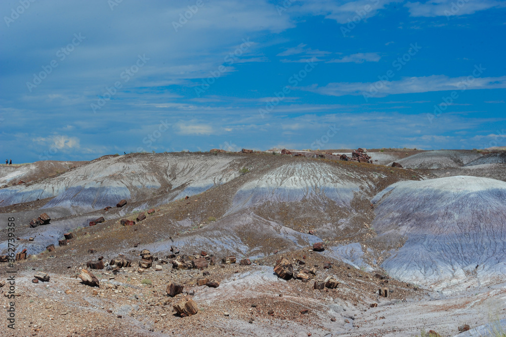 Painted Desert Painted Desert