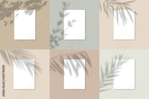 Shadow Overlay Plant Vector Mockup A4 Paper sheets. Shadows overlay effects Of A leaf on blue background photo
