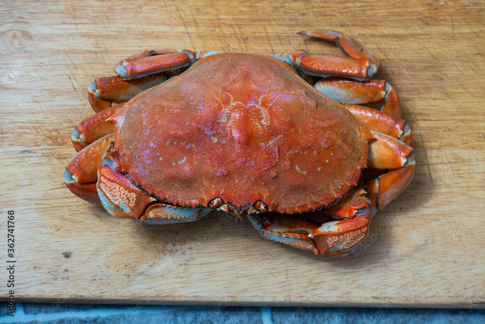 Dungeness crabs on a cutting board Dungeness crabs on a cutting board