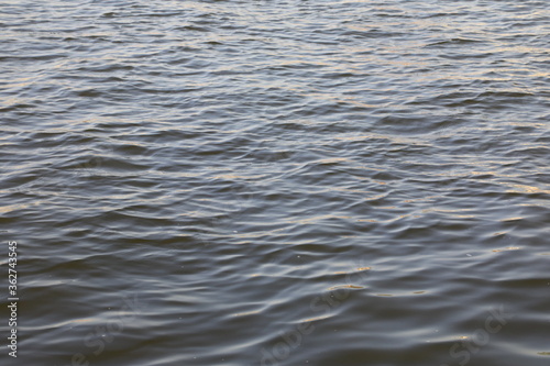 Ripples on the lake surface