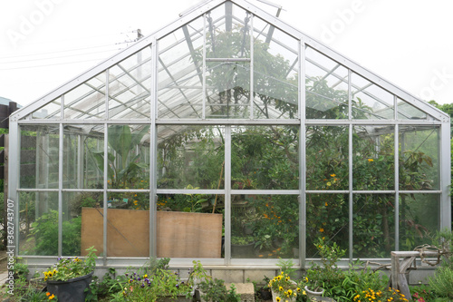 温室栽培 グリーンハウス 