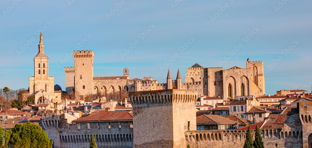 Palace of the Popes or Palais des Papes and Avignon Cathedral  panoramic view - Avignon city, France