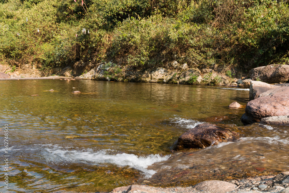 A flock of ducks swimming in the river