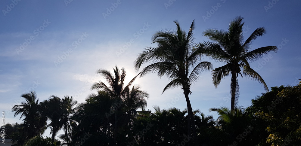 vacations vacations
