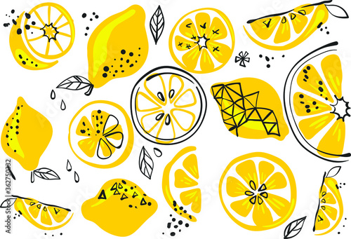 fruit background, lemon lime and lemon background, vector illustration, summer fruit lemons print
