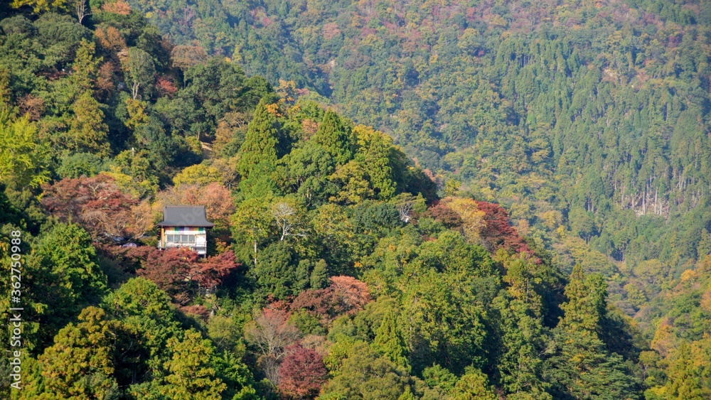 View of Arashiyama Gorge during autumn season at day time View of Arashiyama Gorge during autumn season at day time