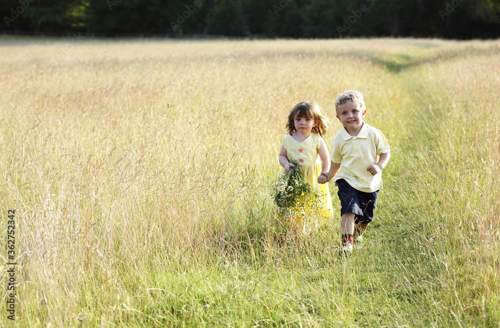 Children wandering in the meadow