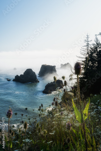 Sea stacks and wildflowers at the Oregon Coast vertical image