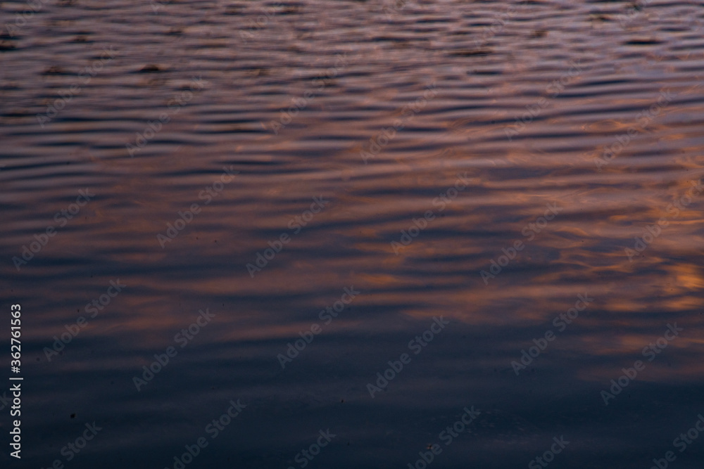 Fototapeta premium 波紋