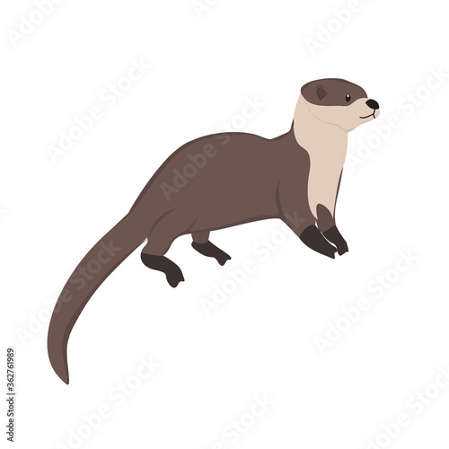 Otter Illustration
