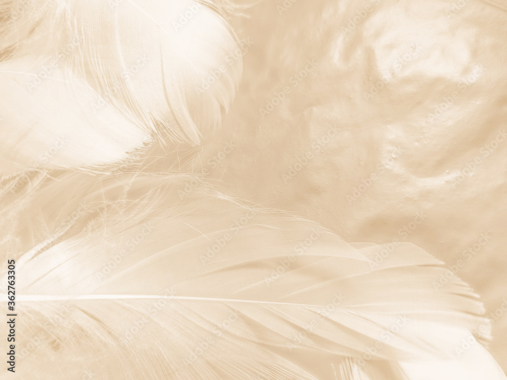 Obraz premium Beautiful abstract gray and white feathers on white background, soft brown feather texture on white pattern, yellow feather background