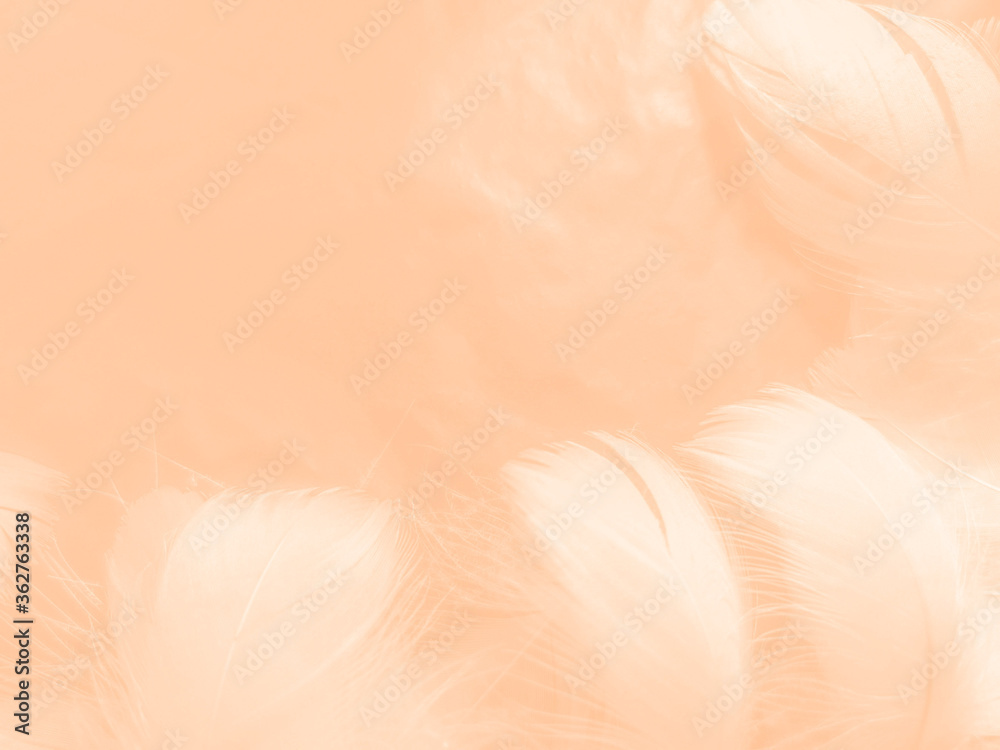 Fototapeta premium Beautiful abstract white and light orange feathers on white background, soft brown feather texture on white patter, yellow feather background