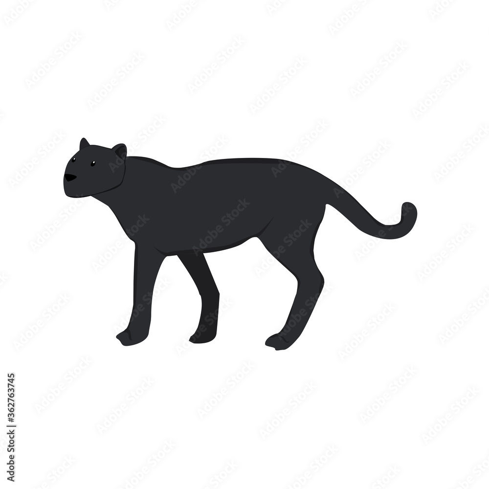 Fototapeta premium Black Leopard Illustration