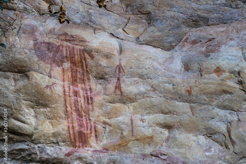 Aboriginal paintings on the rock. Walls under the shade. Meaning: person hunting. Elsey national park, Victoria river, Northern Territory NT, Australia photo
