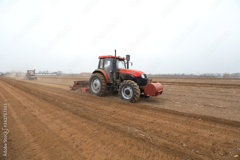 Obraz premium seeder sows in the field, North China