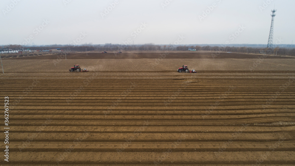 Obraz premium seeder sows in the field, North China