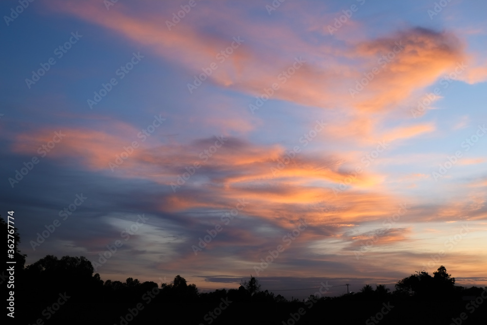 Group of orange fluffy clouds with evening twilight sky and shadow silhouette tree landscape.