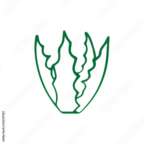 Doodle aloe vera icon isolated on white. Hand drawing line art. Sketch plant. Outline vector stock illustration. EPS 10