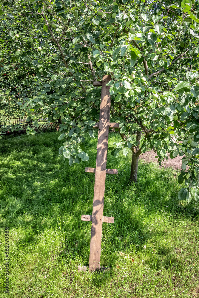 Fototapeta premium Home-made rural wooden staircase for picking fruits.