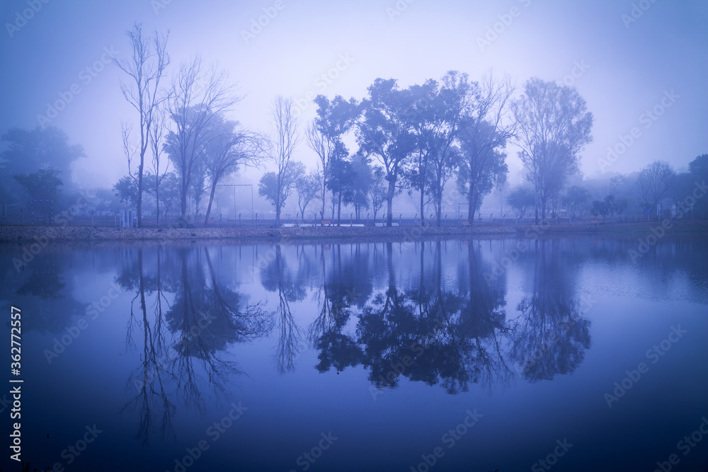 Fototapeta premium Morning on the lake early morning reeds mist fog and water surface on the lake, Pachmarhi, Madhya pradesh, India.