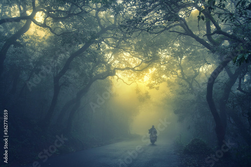 Foggy monsoon season at way to mahabaleshwar, maharashtra, india