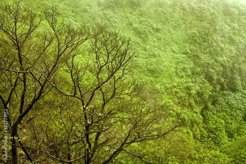 Wallpaper Mural A scenic view of Mountains at Mahabaleshwar, maharashtra, india. Torontodigital.ca
