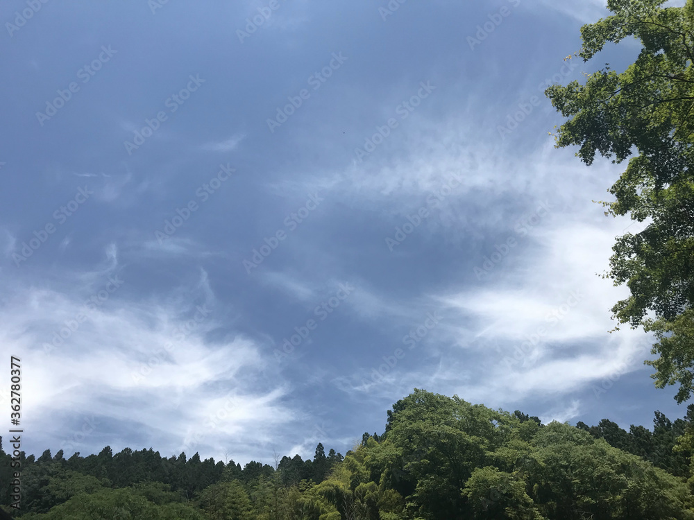Fototapeta 雲の流れる空