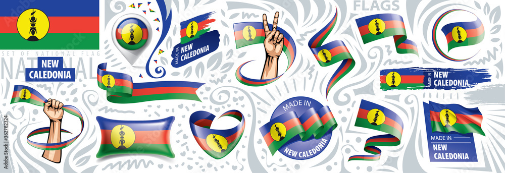 Vector set of the national flag of New Caledonia in various creative designs