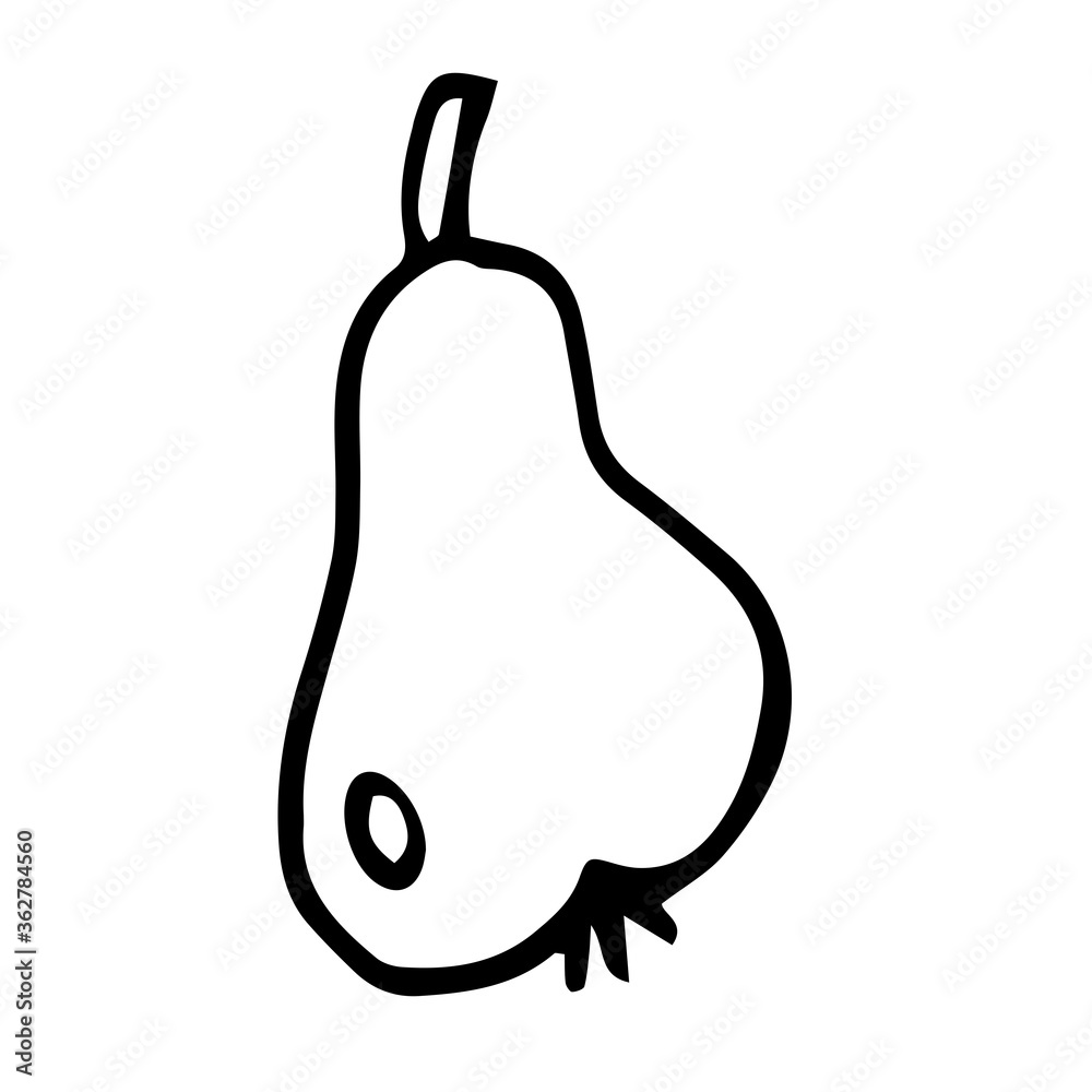 hand-drawn pear illustration hand-drawn pear illustration