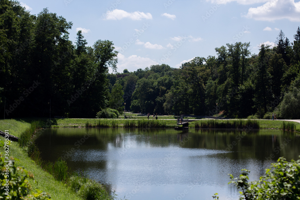 Fototapeta premium landscape with a lake in the park