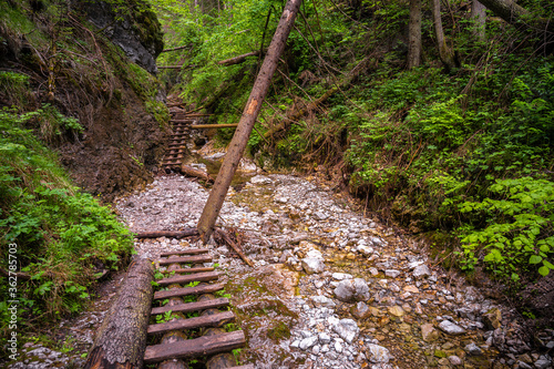 Waterfall with ladder in canyon, sucha bela  in Slovak Paradise, Slovensky Raj National Park, Slovakia photo