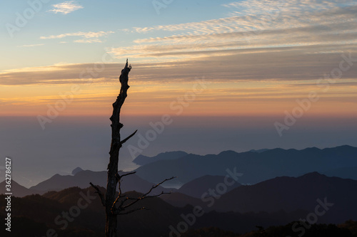 山から見たパステル調の朝の空