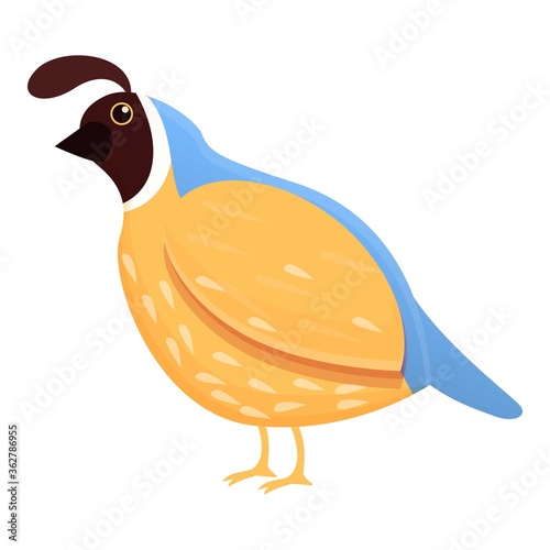 Feather quail icon. Cartoon of feather quail vector icon for web design isolated on white background
