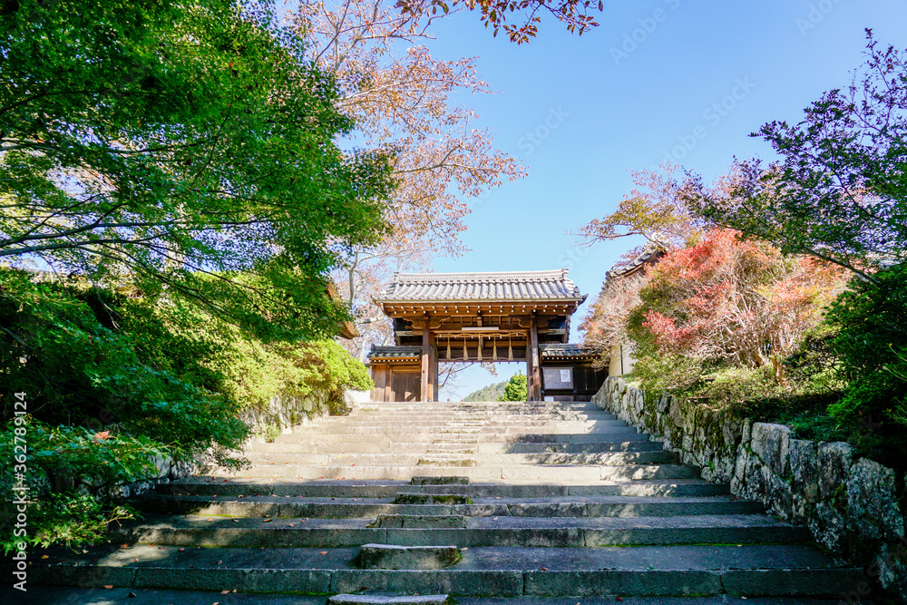 京都　毘沙門堂